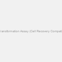 CytoSelect Cell Transformation Assay (Cell Recovery Compatible), Colorimetric